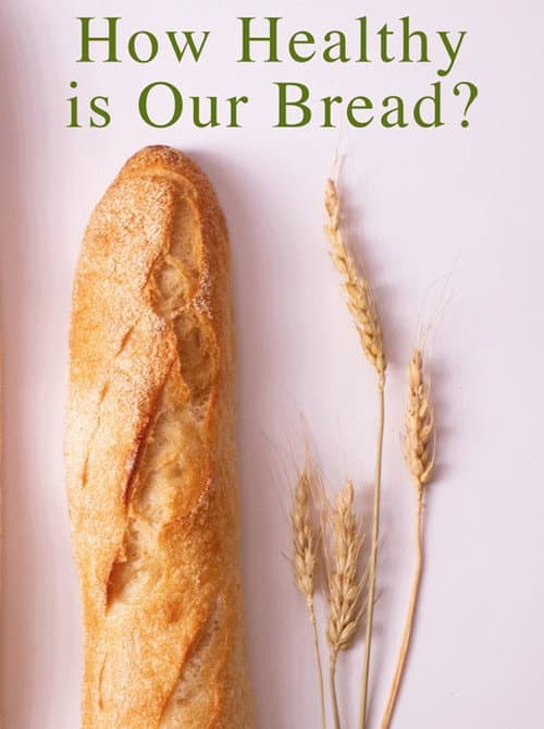How Healthy Is Our Bread? poster