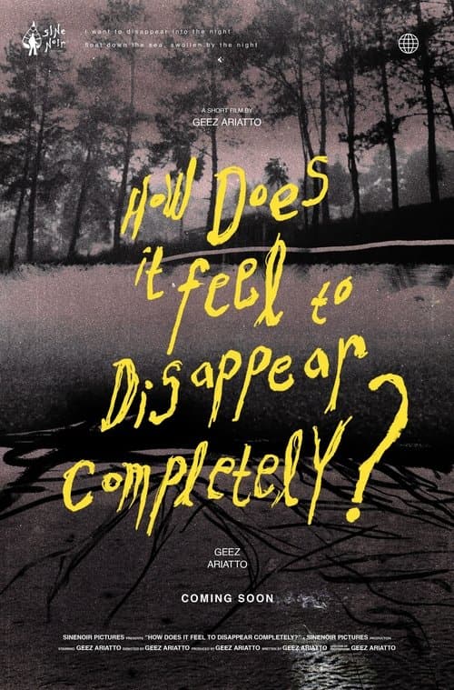 How Does It Feel to Disappear Completely? poster