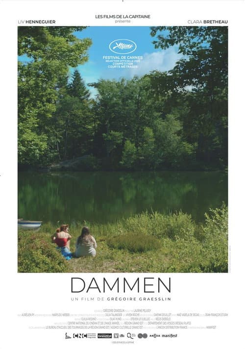 Dammen poster
