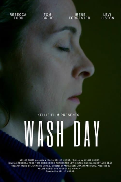 Wash Day poster
