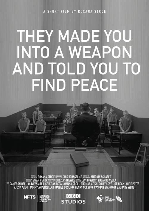 They Made You into a Weapon and Told You to Find Peace poster