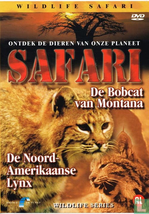 Safari: De Bobcat van Montana / De Noord-Amerikaanse Lynx poster