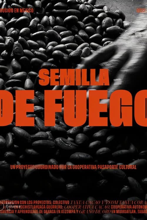 Seed of Fire poster