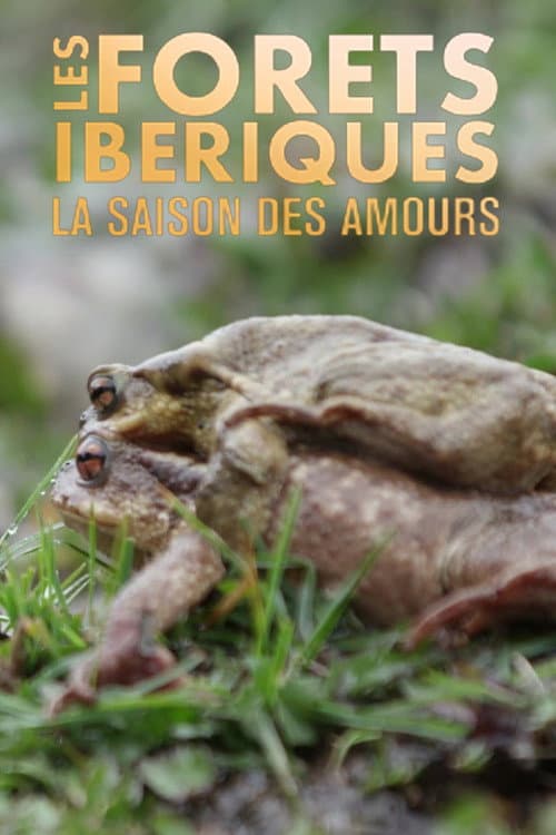 Les forêts ibériques : La saison des amours poster