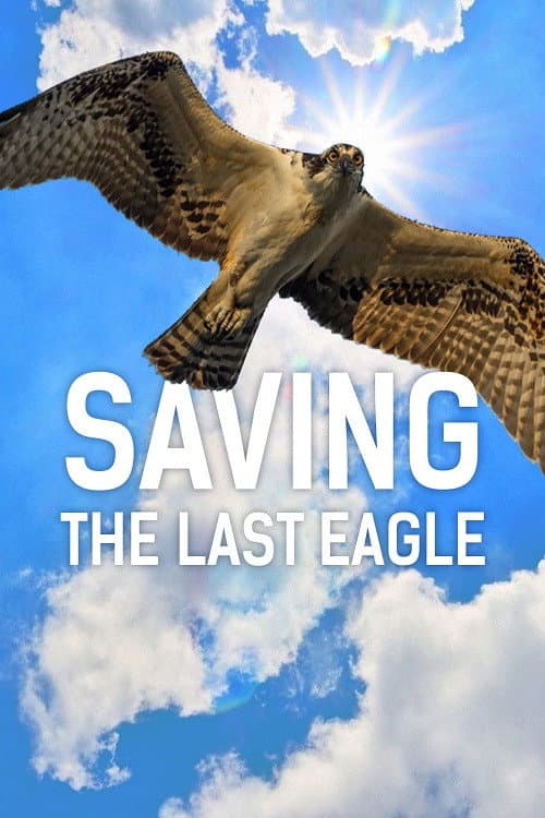 Saving The Last Eagle poster