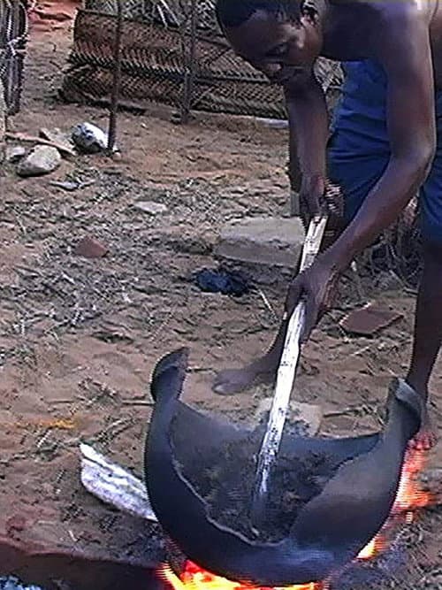 African Herbsmen: Healing and Religion along the Bight of Benin poster