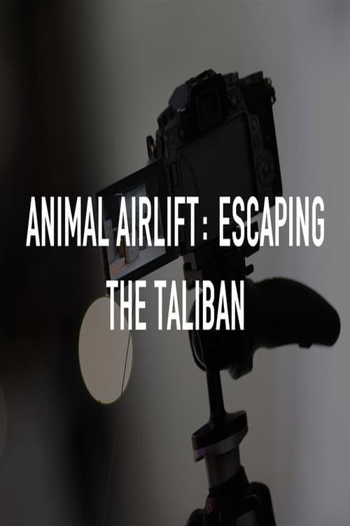 Animal Airlift: Escaping the Taliban poster