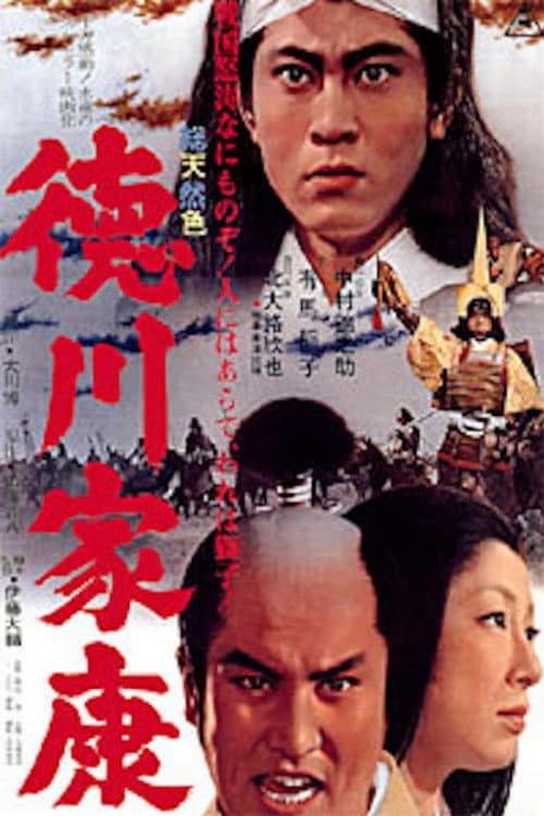 Lord Tokugawa Ieyasu poster