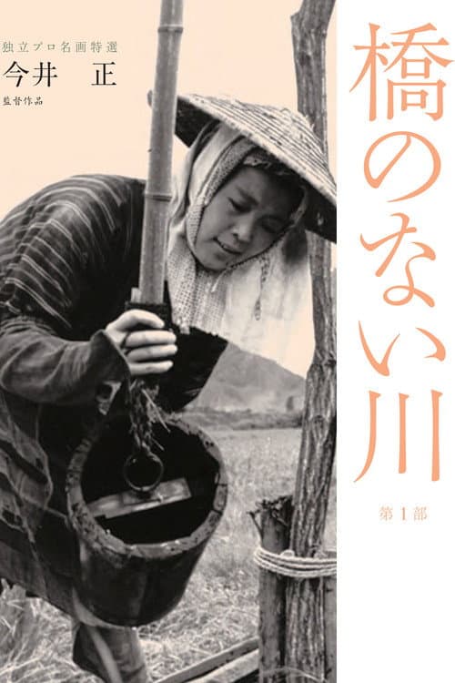 River Without a Bridge poster