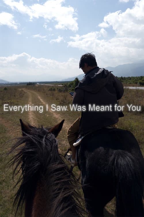Everything I Saw Was Meant for You poster