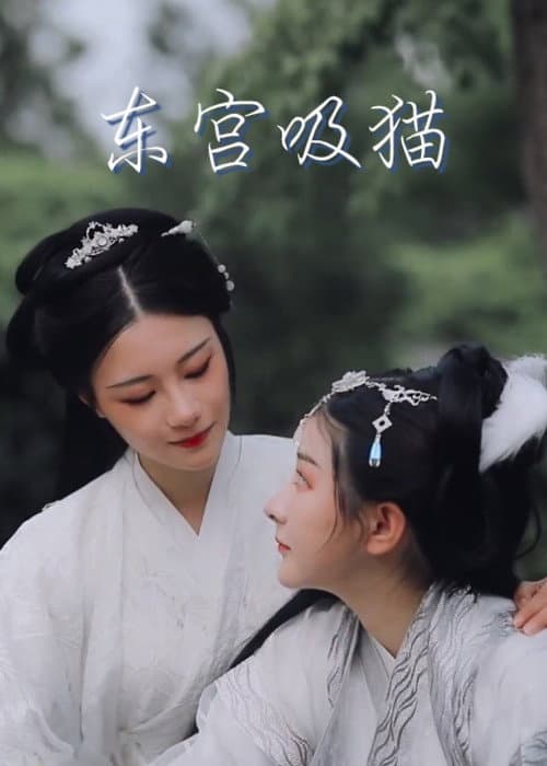 Cat in the Eastern Palace poster