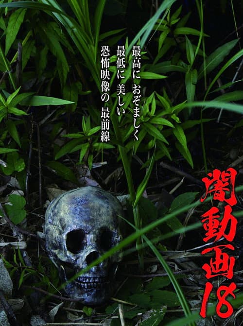 Tokyo Videos of Horror 18 poster