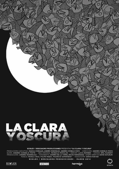 La clara y oscura poster