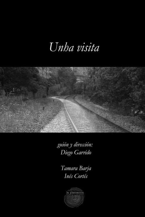 Unha visita poster