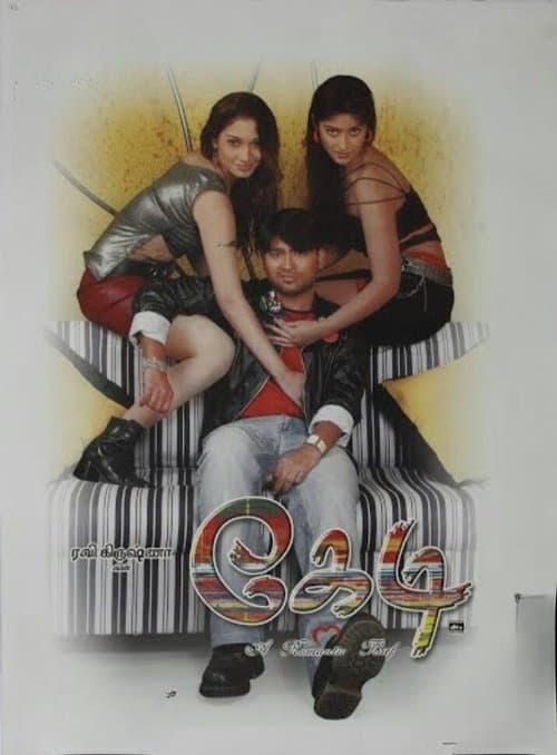 Kedi poster