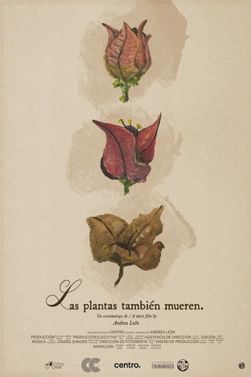 Las plantas también mueren poster