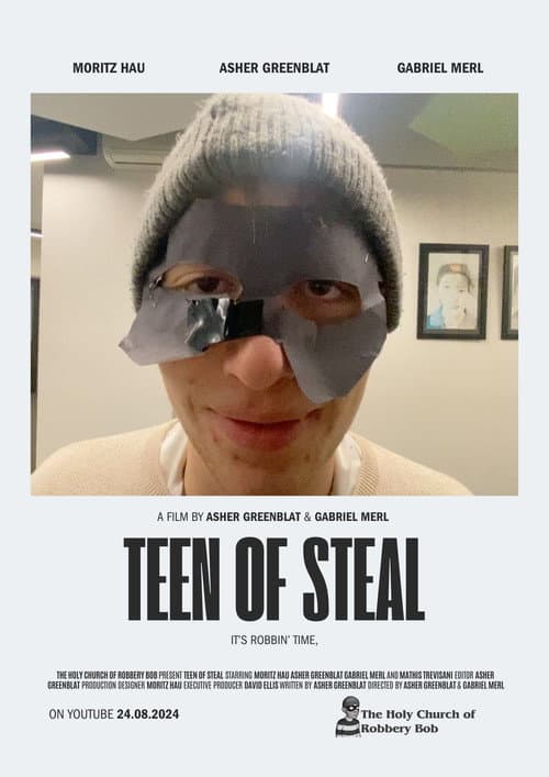 Teen of Steal poster