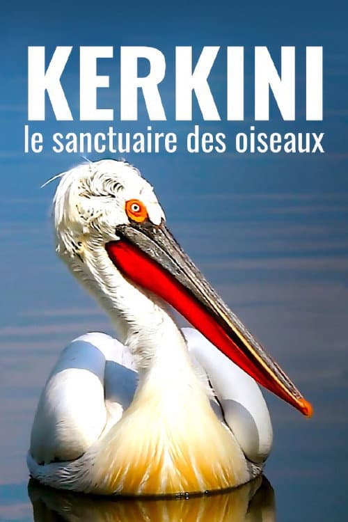Kerkini: The Bird Sanctuary poster