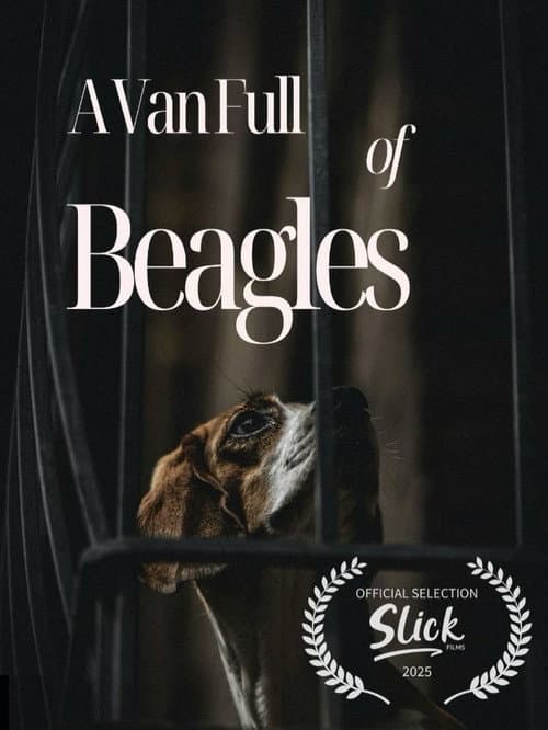 A Van Full of Beagles poster