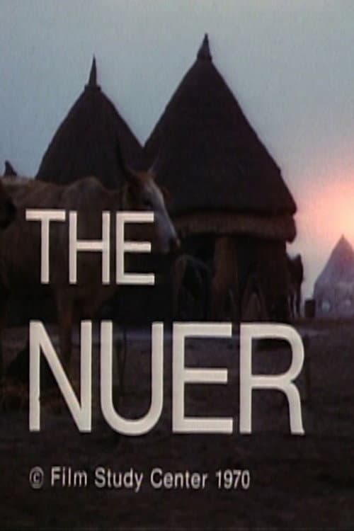 The Nuer poster
