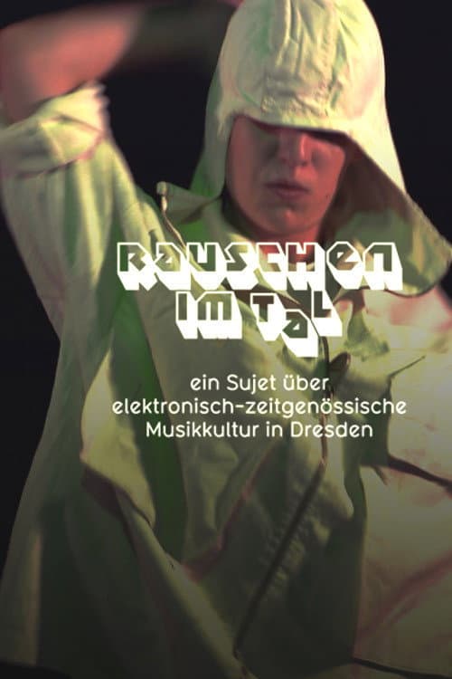 Rauschen im Tal poster