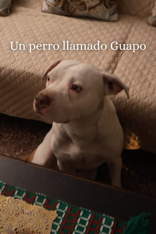 Un Perro Llamado Guapo poster