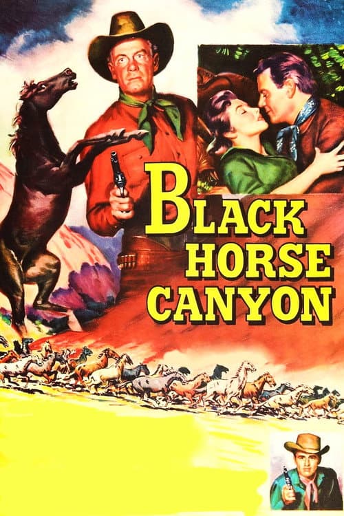 Black Horse Canyon poster