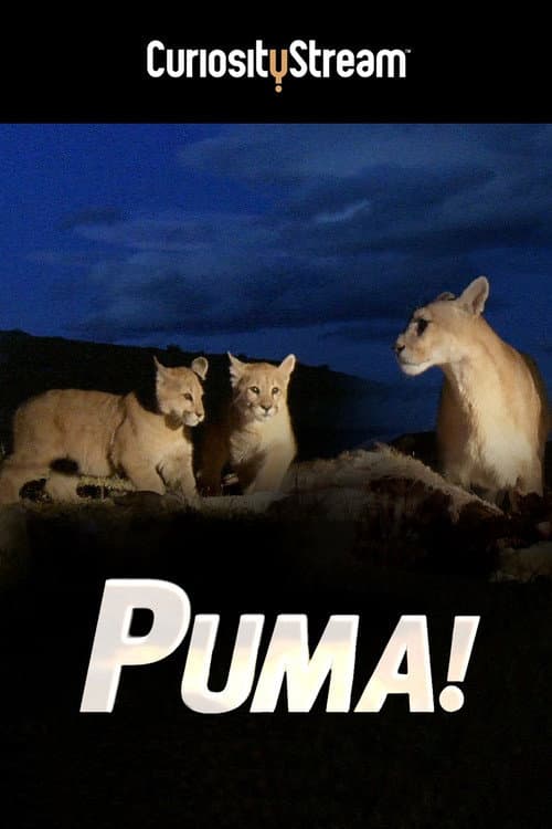 Puma! poster