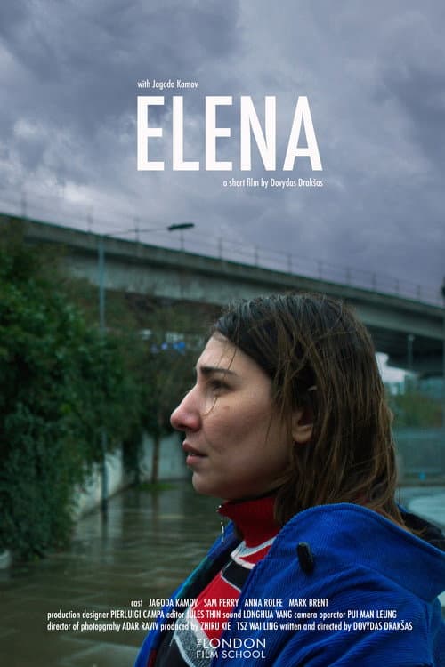Elena poster