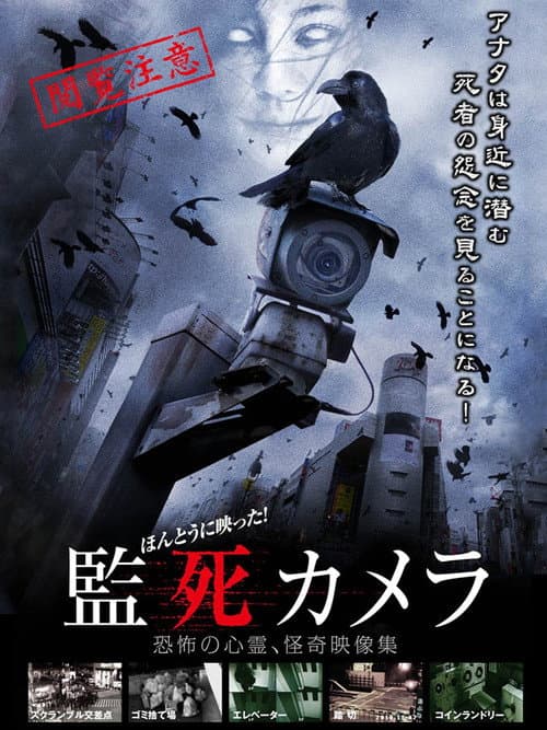 Paranormal Surveillance Camera poster
