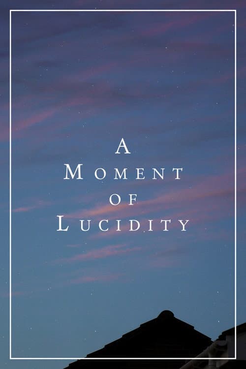 A Moment of Lucidity poster
