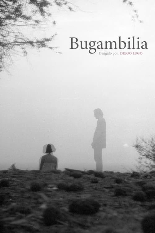 Bugambilia poster