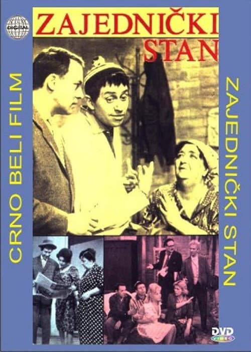 Shared Apartment poster