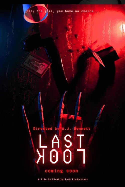 Last Look poster
