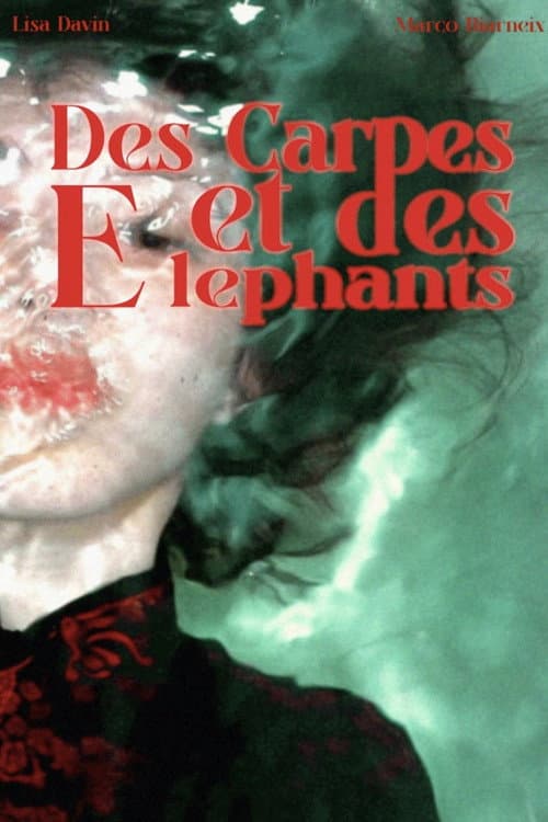 Des Carpes et des Éléphants poster