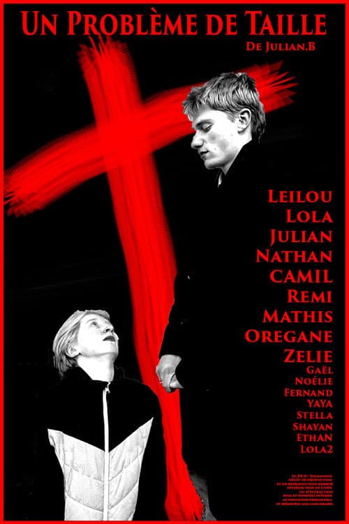 A little Problem poster