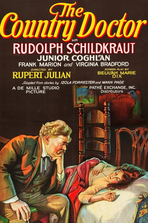 The Country Doctor poster