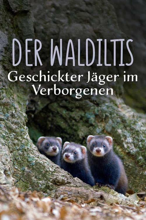 Polecat – Europe’s Relentless Hunter poster