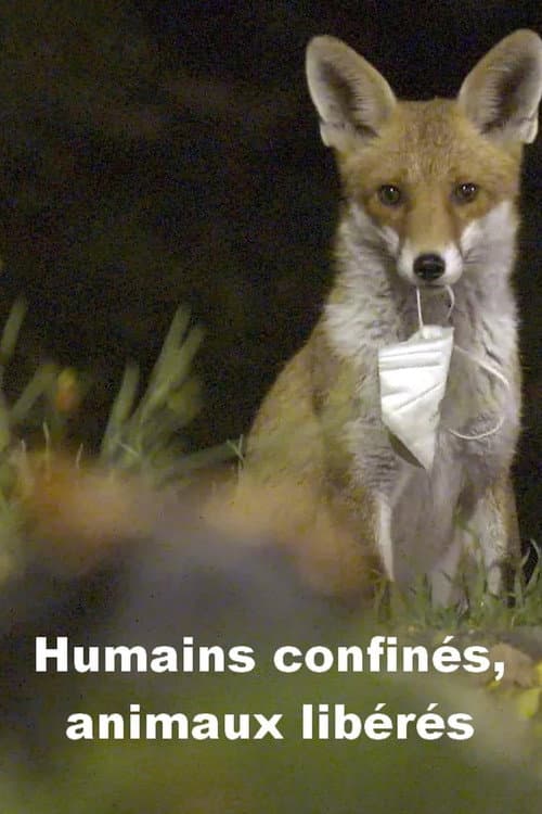 Menschen eingesperrt, Tiere befreit poster
