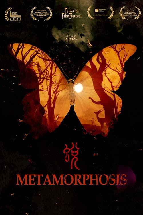 Metamorphosis poster