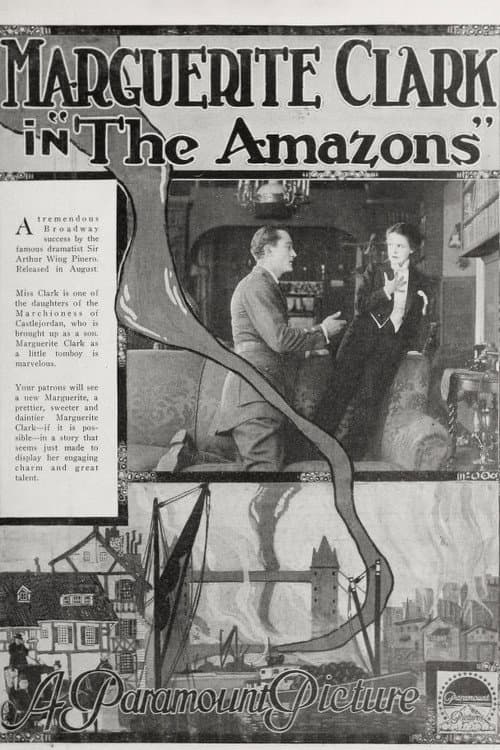 The Amazons poster