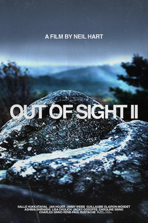 Out of Sight II poster