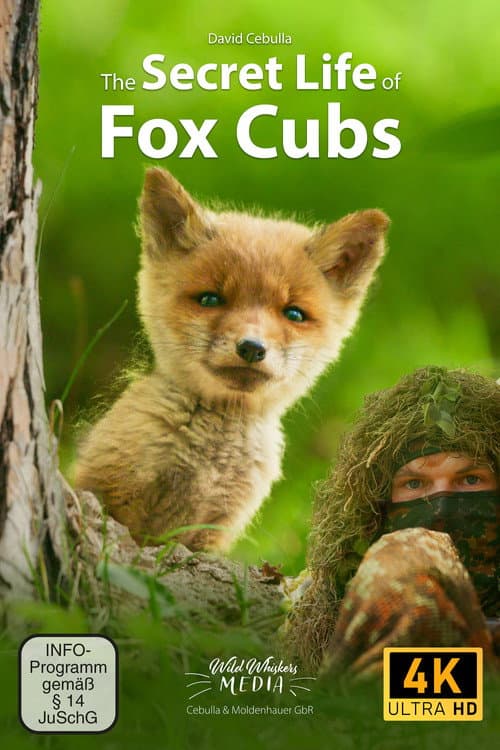 The Secret Life of Fox Cubs poster