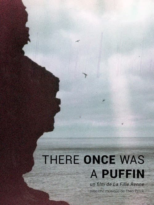 There Once was A Puffin poster