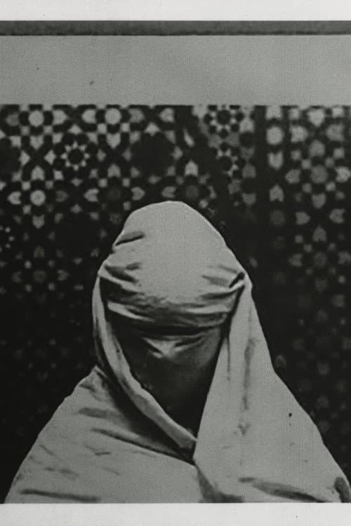 The Fold poster