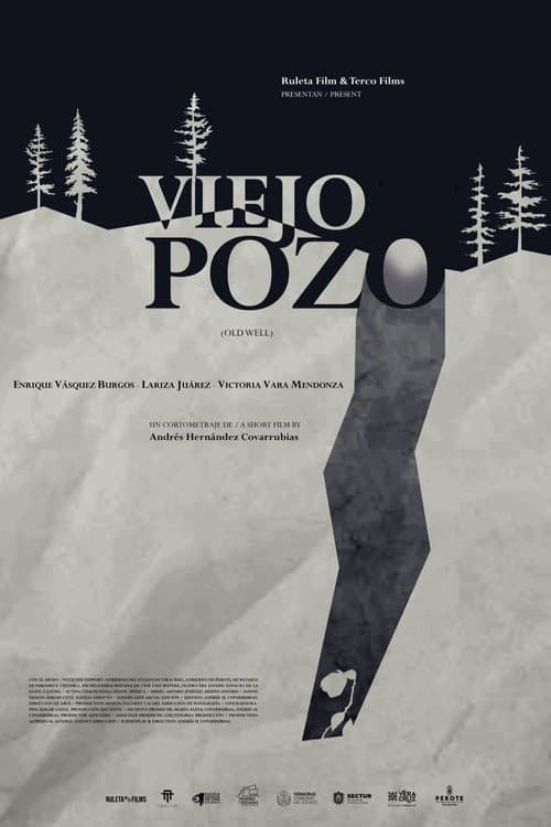 Old Well poster