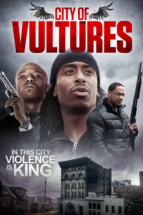 City of Vultures poster