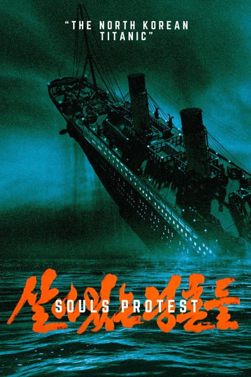 Souls Protest poster