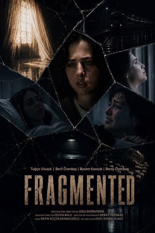 Fragmented poster