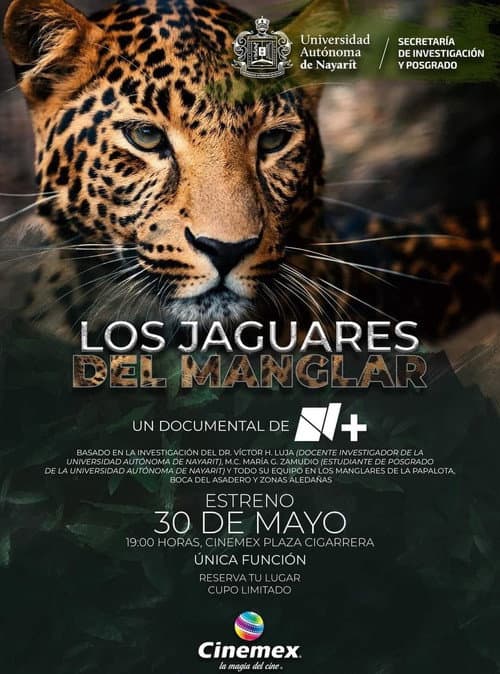 Los Jaguares del Manglar poster